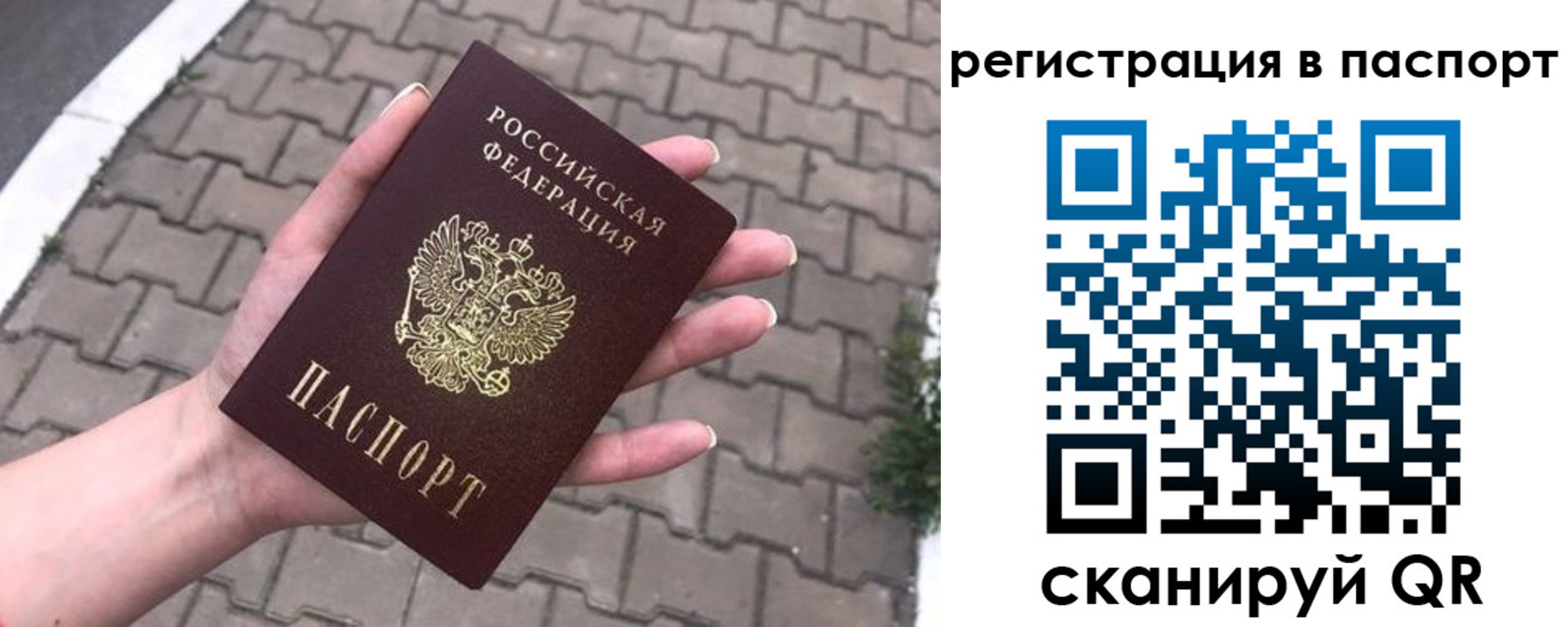 временная регистрация поиск в Тосно